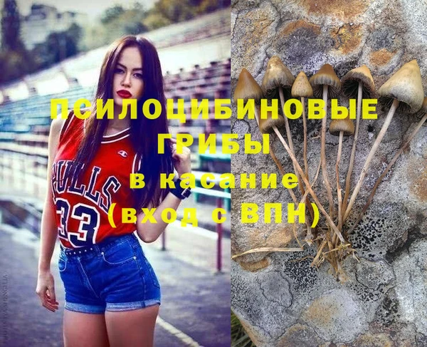 таблы Алексин