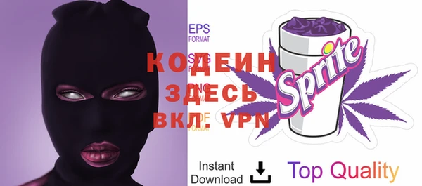 индика Покров