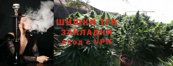 гашик Алексеевка
