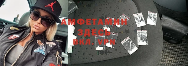 гашик Алексеевка